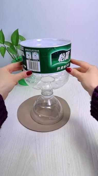 塑料瓶变废为宝做花盆种菜种花都好看 #自制花盆手工花盆#空瓶子的妙用#生活小妙招
