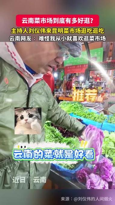 云南菜市场到底有多好逛?#云南菜市场#刘仪伟#云南美食#有一种叫云南的生活