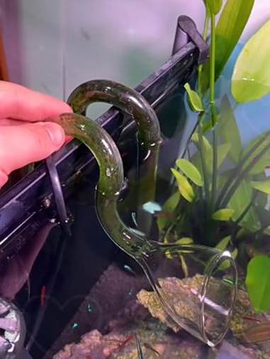 Y 鱼缸 鱼缸除藻 鱼缸过滤 鱼缸造景