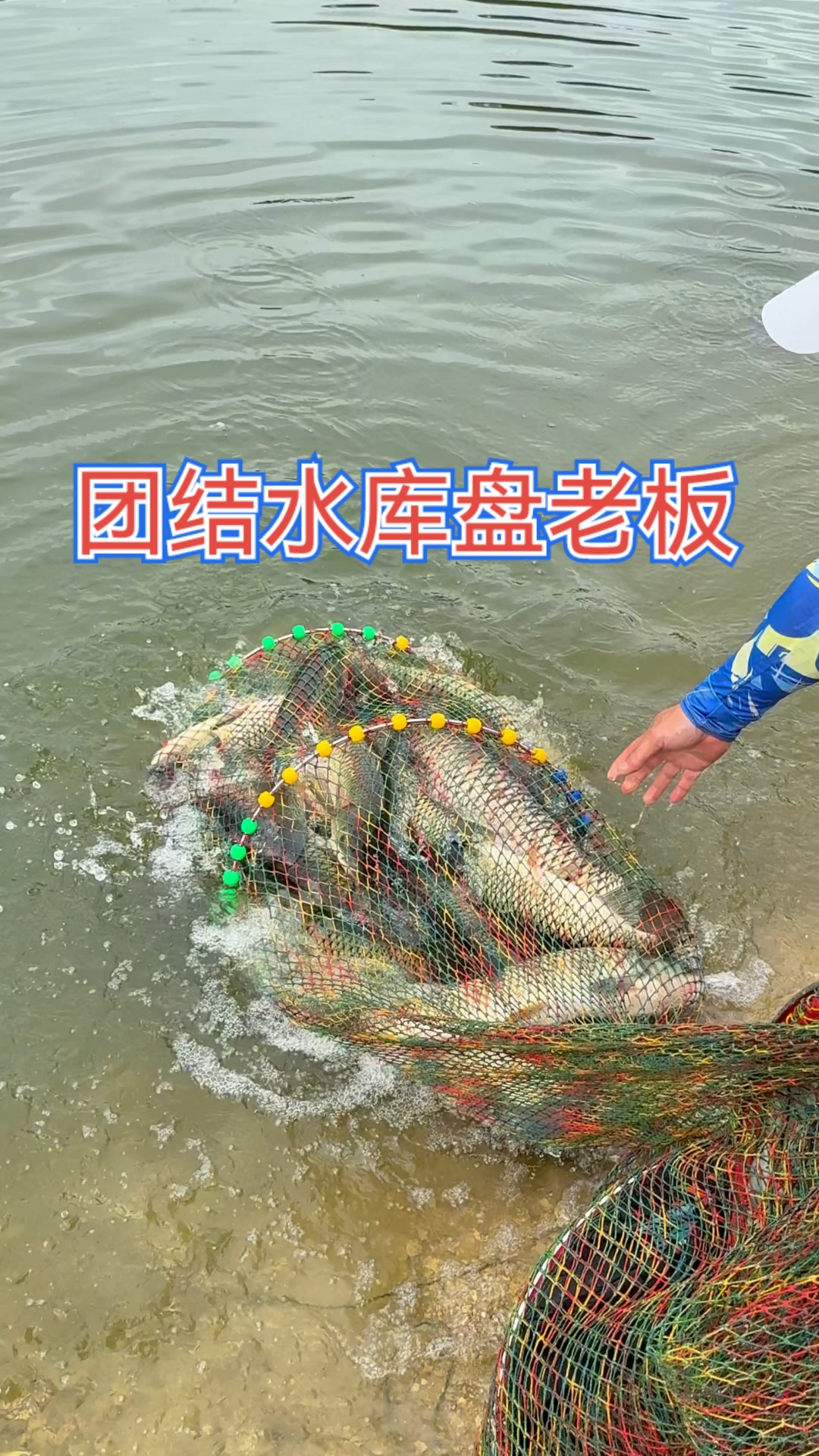 团结水库钓青鱼,遇到草鱼群,200斤入户