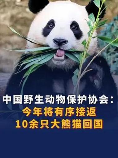 中国野生动物保护协会