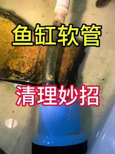 鱼缸软管清理妙招 养鱼不花钱不费力软管清洁,鱼缸软管壁面出现褐藻和脏污,一招解决又解压。周