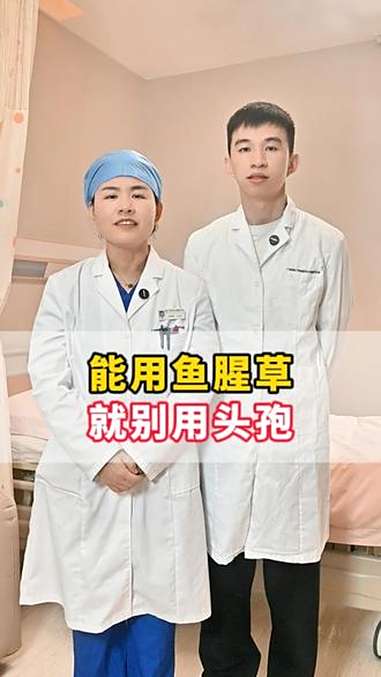 中医 鱼腥草