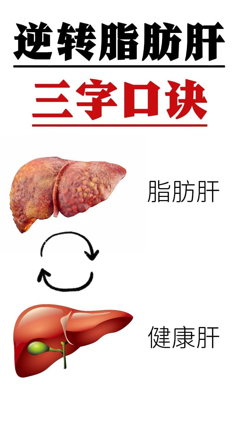 逆转脂肪肝三字口诀