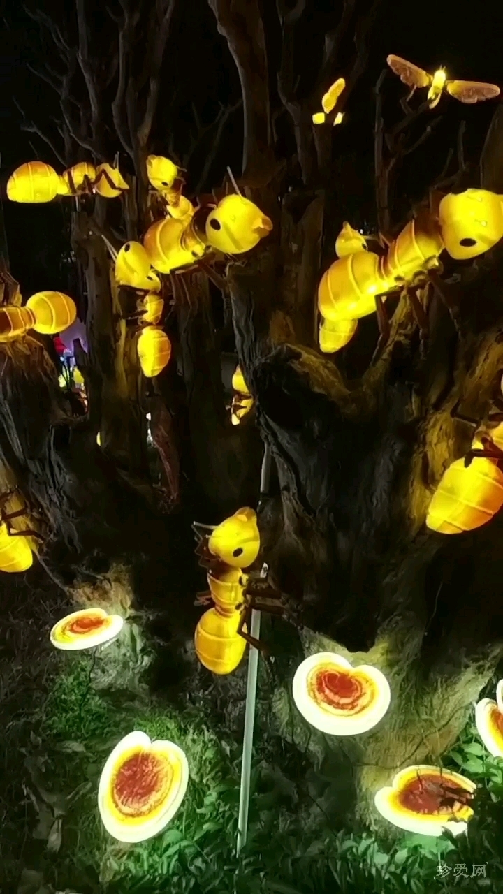 给你们看看,真正的蚂蚁上树是啥样子 