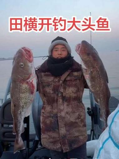田横开钓大头鱼 迄今为止青岛钓的最大鳕鱼#海钓船钓 #海钓鳕鱼 #青岛钓的最大鳕鱼 #音乐