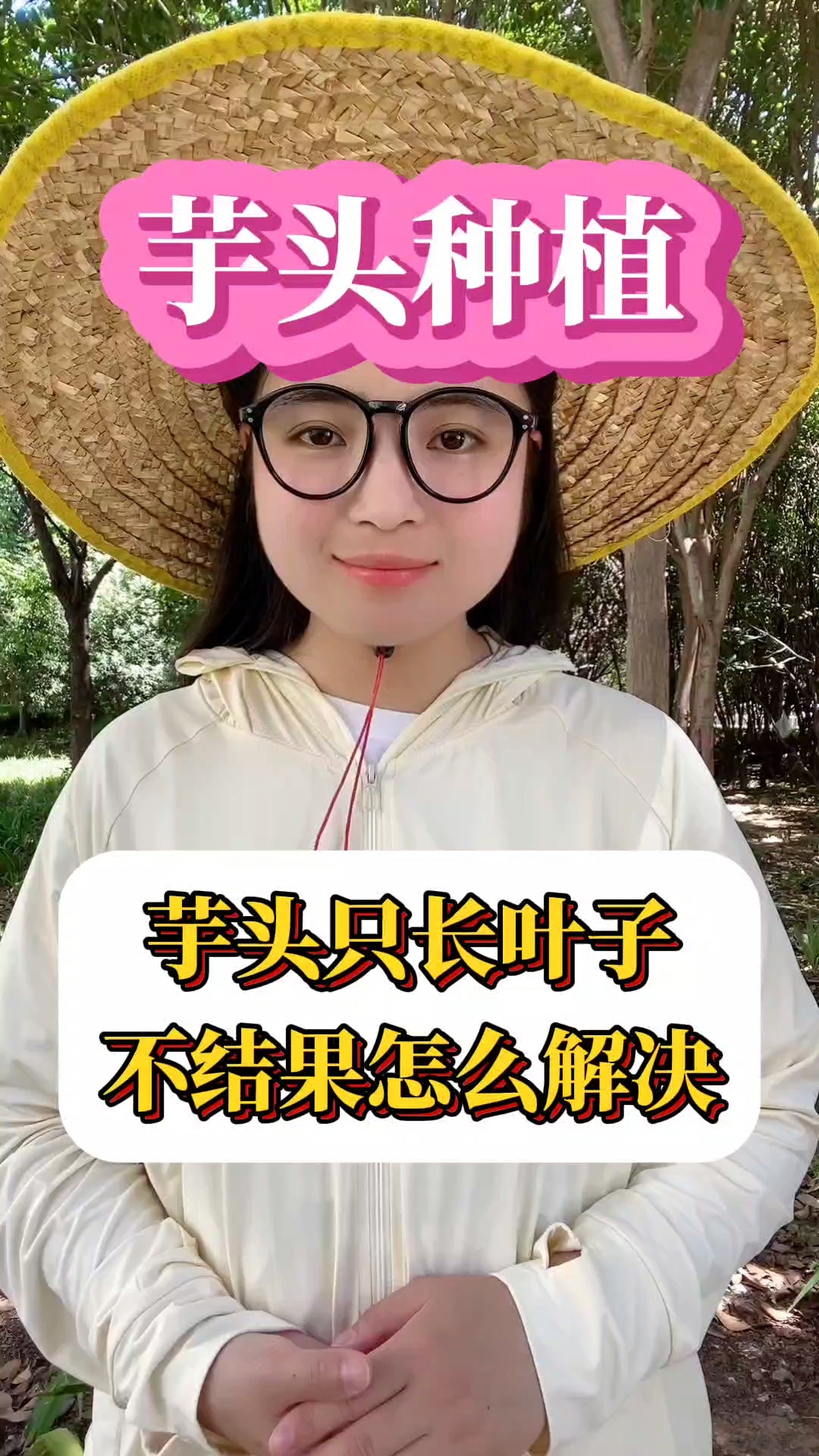 芋头只长叶子,不结果怎么解决?