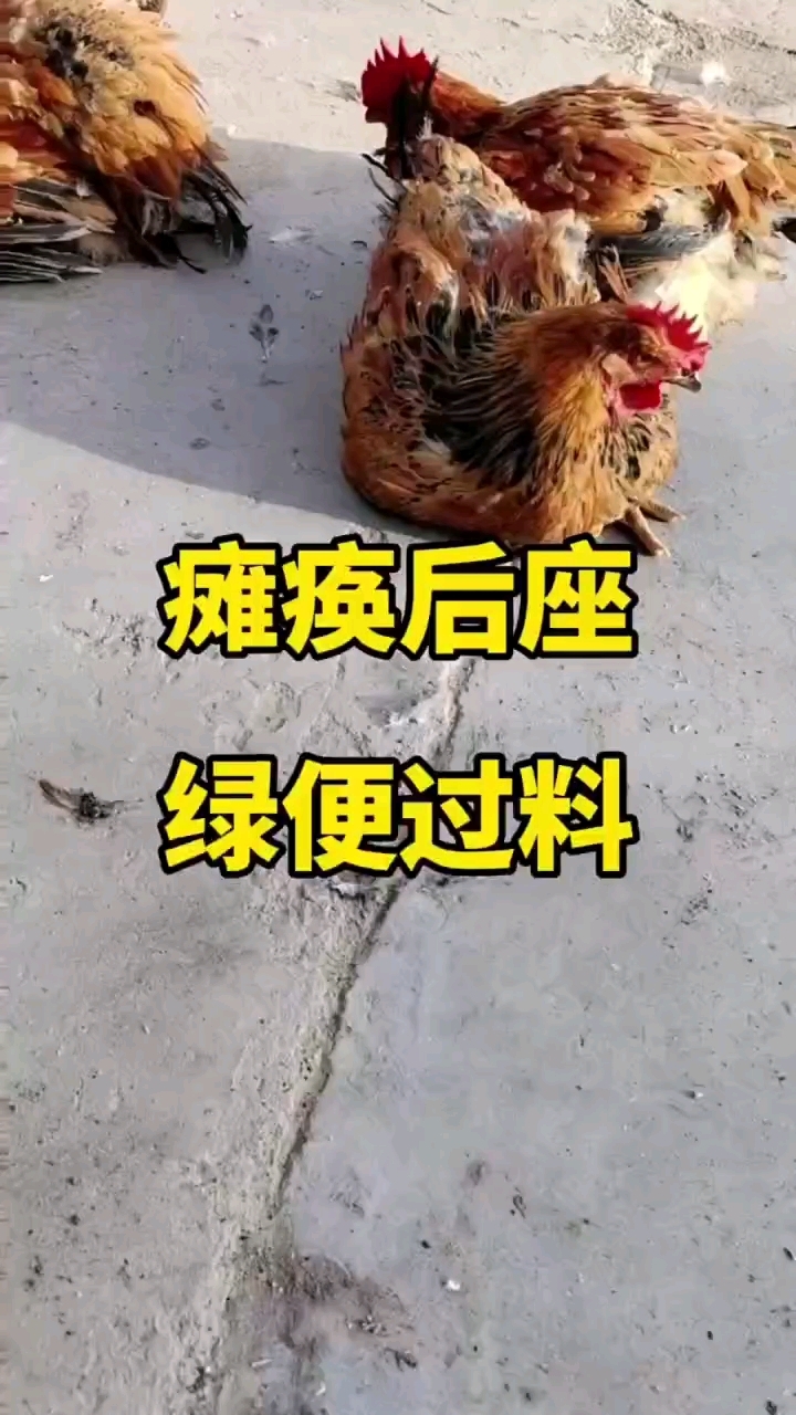 瘫痪后座拉绿粪怎么办