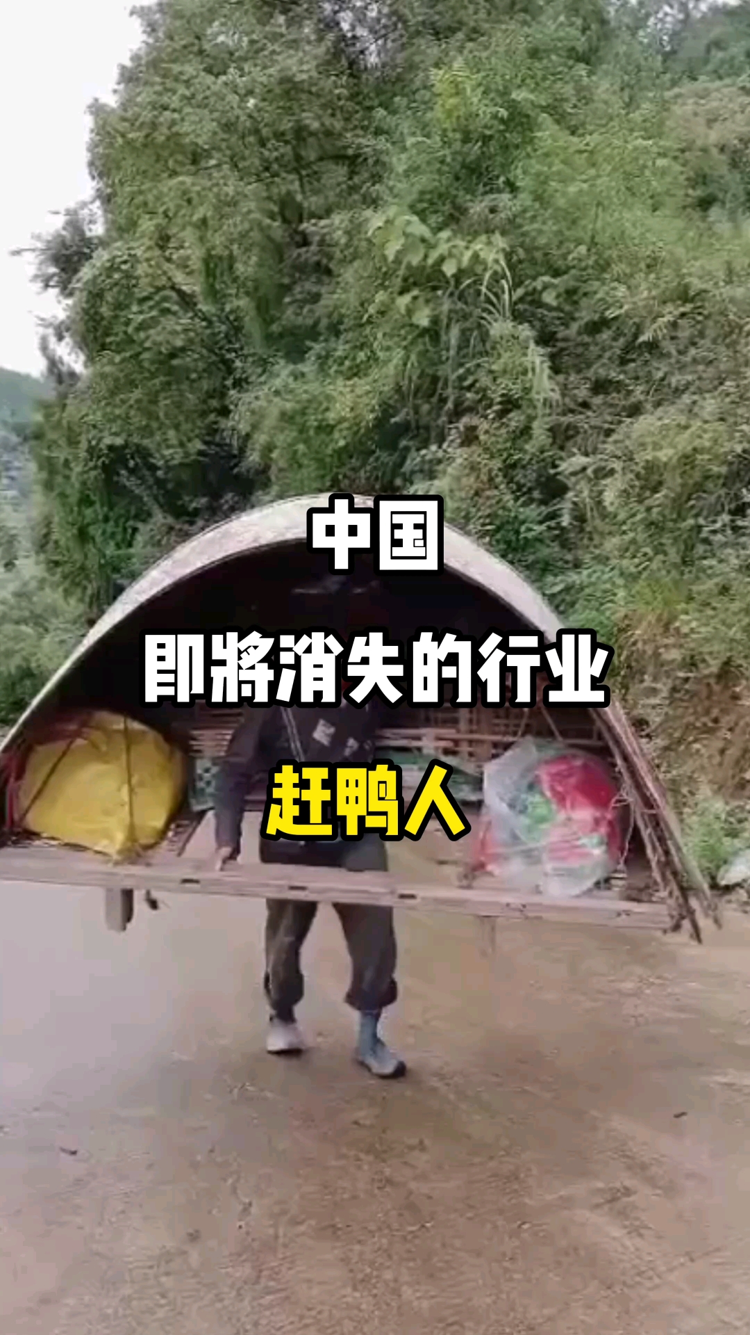 中国即将消失的行业赶鸭人#旅游推荐官#旅游#旅行大玩家