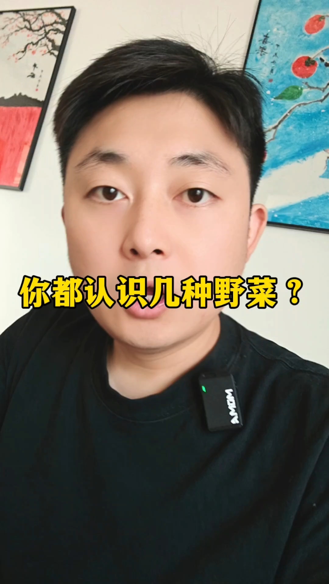 你能认识哪几种野菜？#野菜 #荒野求生 #野菜美食 #荒野生