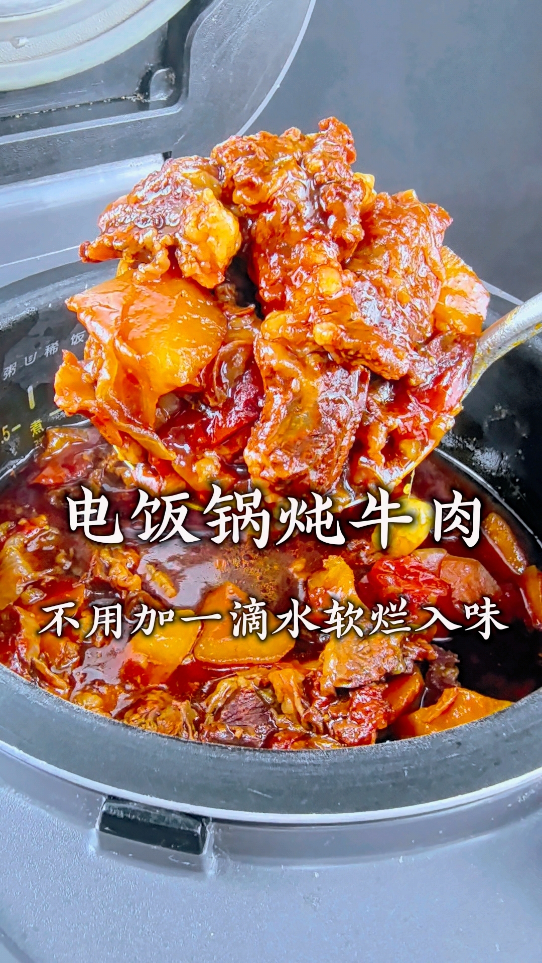 西红柿炖牛肉用电饭锅炖制不用加一滴水。 软烂入味非常好吃！