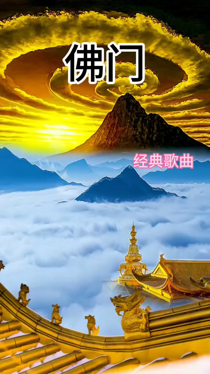 佛门莲花化针,泪落湿透尘缘