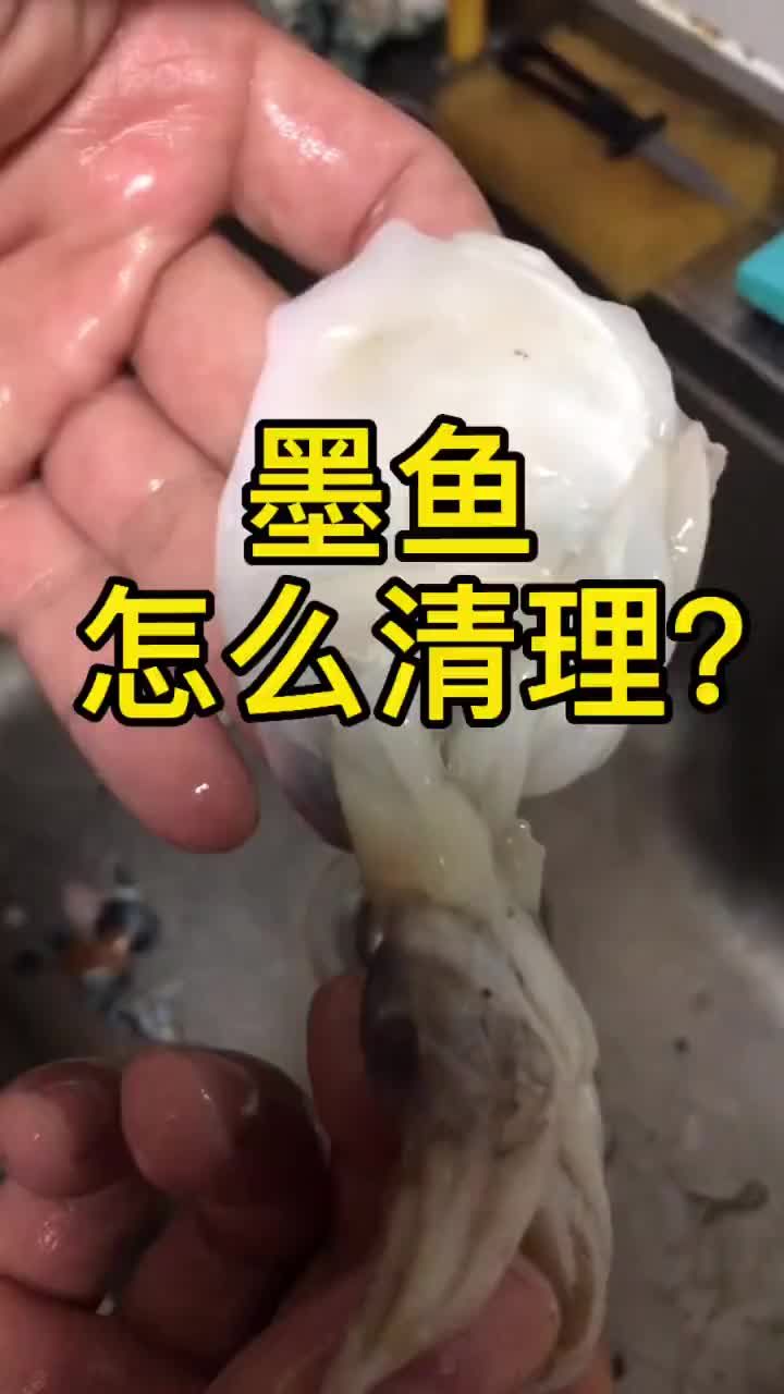 墨鱼这样清理简单又实用,小伙伴们学起来吧