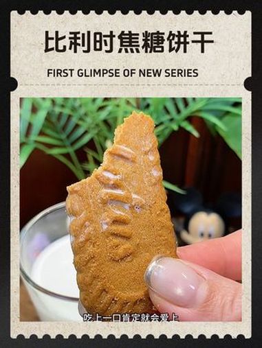 能火一个世纪,比利时和情焦糖饼干真不是盖的!跟牛奶组CP,这搭配绝到飞起,一旦尝过,绝对秒