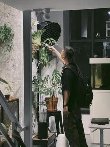 光就是最好的滤镜 水鸦鱼缸 室内绿植 金鱼 龙鱼 吉罗鱼