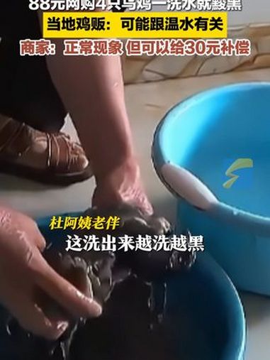 9月22日,重庆。88元网购4只乌鸡一洗水就黢黑,商家:正常现象,但可以给30元补偿 乌鸡