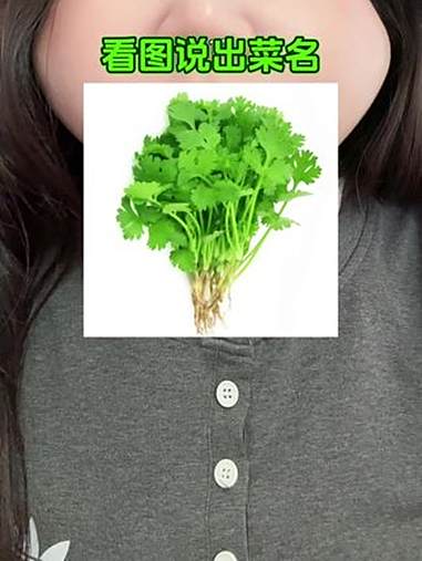 谁能告诉我这是什么菜！看图说青菜