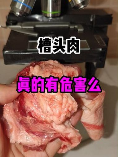 微观世界 槽头肉 梅菜扣肉