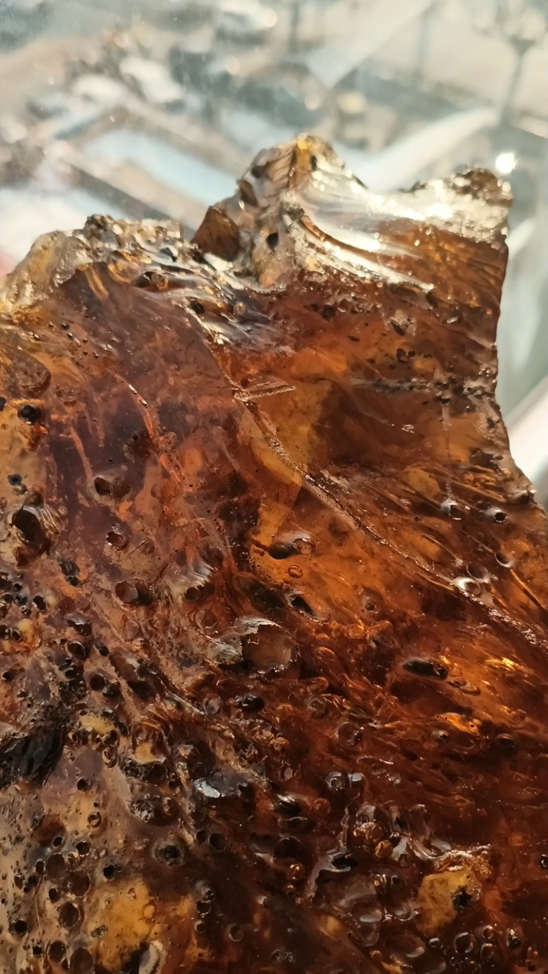 山西金珀,时空大胶囊,石炭纪古生物群化石