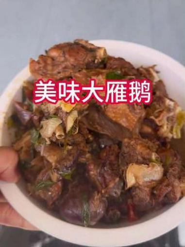 #美食推荐 #妈呀太香了吧 #简简单单一顿家常便饭 #大雁鹅 #太好吃了 n13