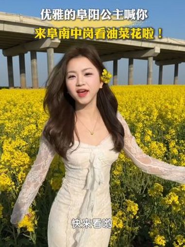 优雅的阜阳公主喊你来阜南中岗大桥看油菜花啦hhh 油菜花 中岗大桥 阜南 素材来源:@小李