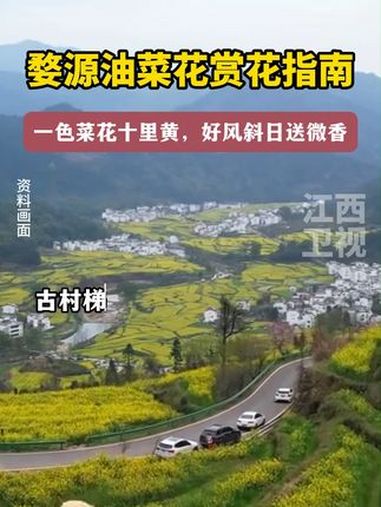 邀你共赴一场婺源油菜花之旅 婺源 油菜花 江西旅游 踏春赏花