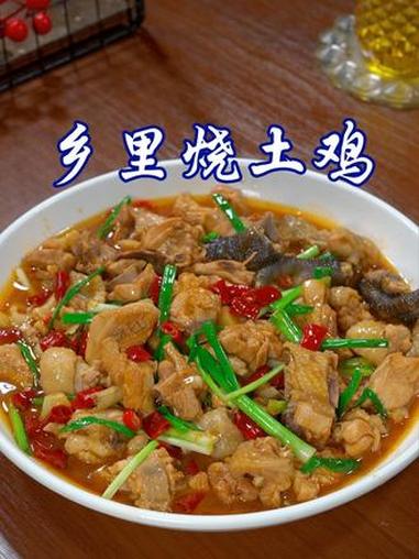 简单又好吃的#乡里烧土鸡，鸡肉滑嫩入味，超级好吃#美食 #美食教程 #家常菜