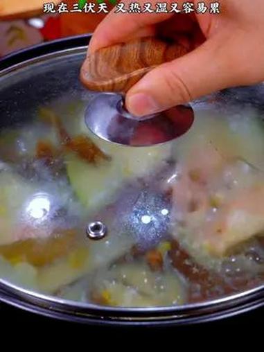 三伏天要饮冬瓜海带汤