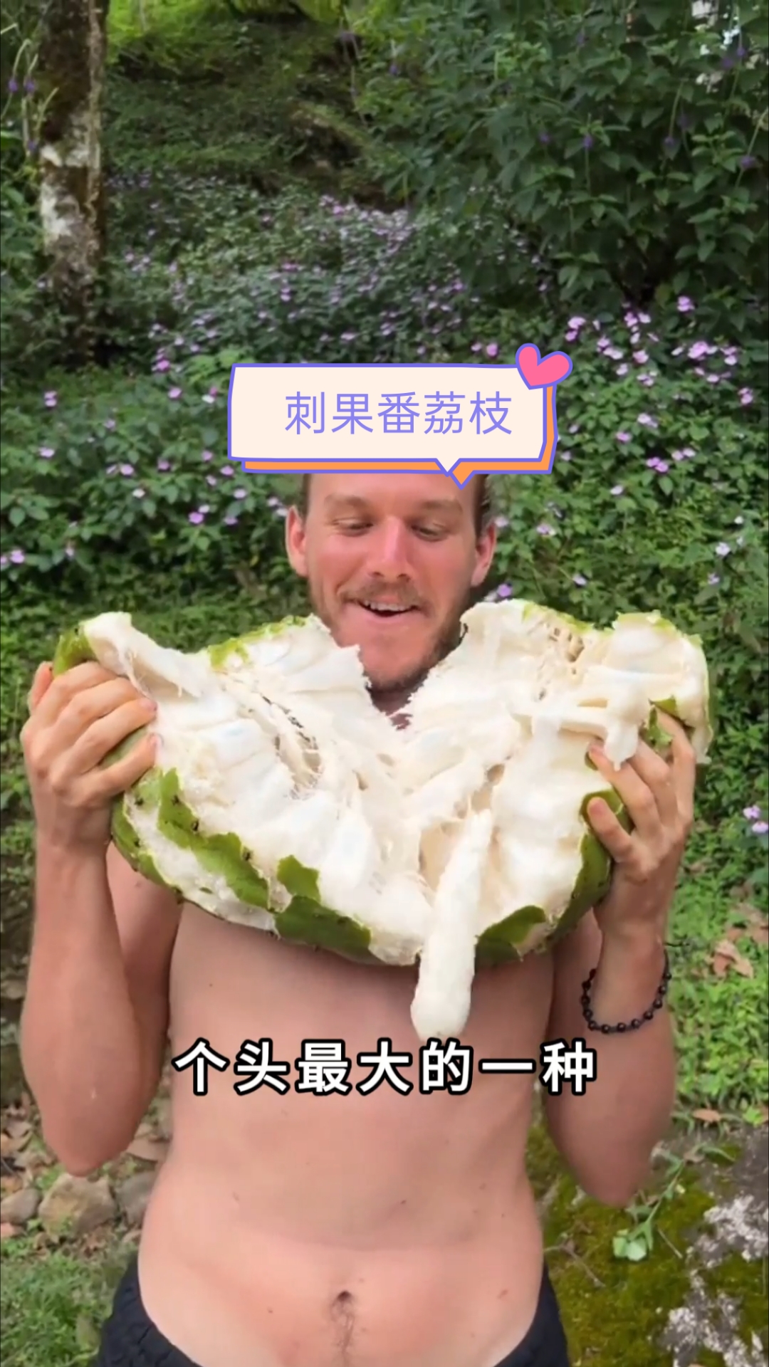 直径可达35厘米的水果——刺果番荔枝
