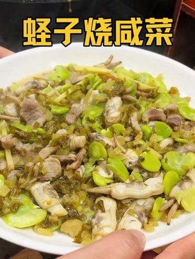 可惜你不是浙江人,不懂春天的这一口川豆蛏子烧咸菜有多鲜 谁懂这一口的好吃程度 把家乡的味道