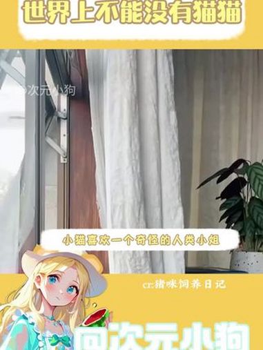 绅士猫与珍惜礼物的人类小姐 暖心 猫猫 好懂事的猫猫 小猫 小猫治愈世界