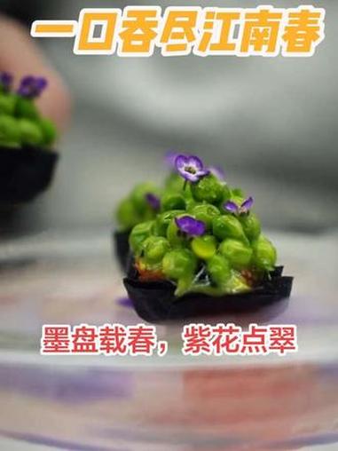 一道菜的启发 品味的不只是春色，更是对生活、对美学的全新思考。#江南春色 #创意融合菜#米