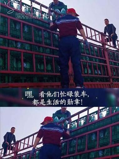 #2升企鹅啤酒桶 #啤酒桶 #啤酒桶厂家 #装车出货 #银丰啤酒桶