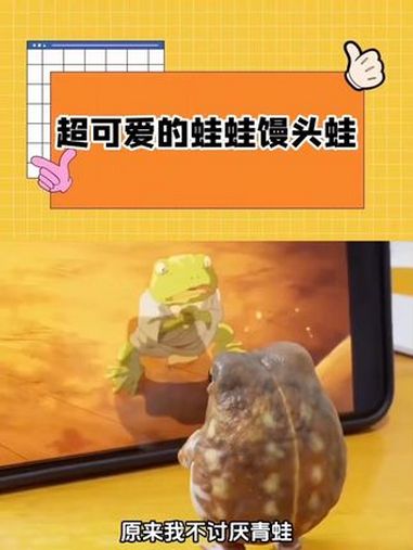 馒头蛙,一只超可爱的蛙蛙 奇妙的动物 蛙蛙 可爱