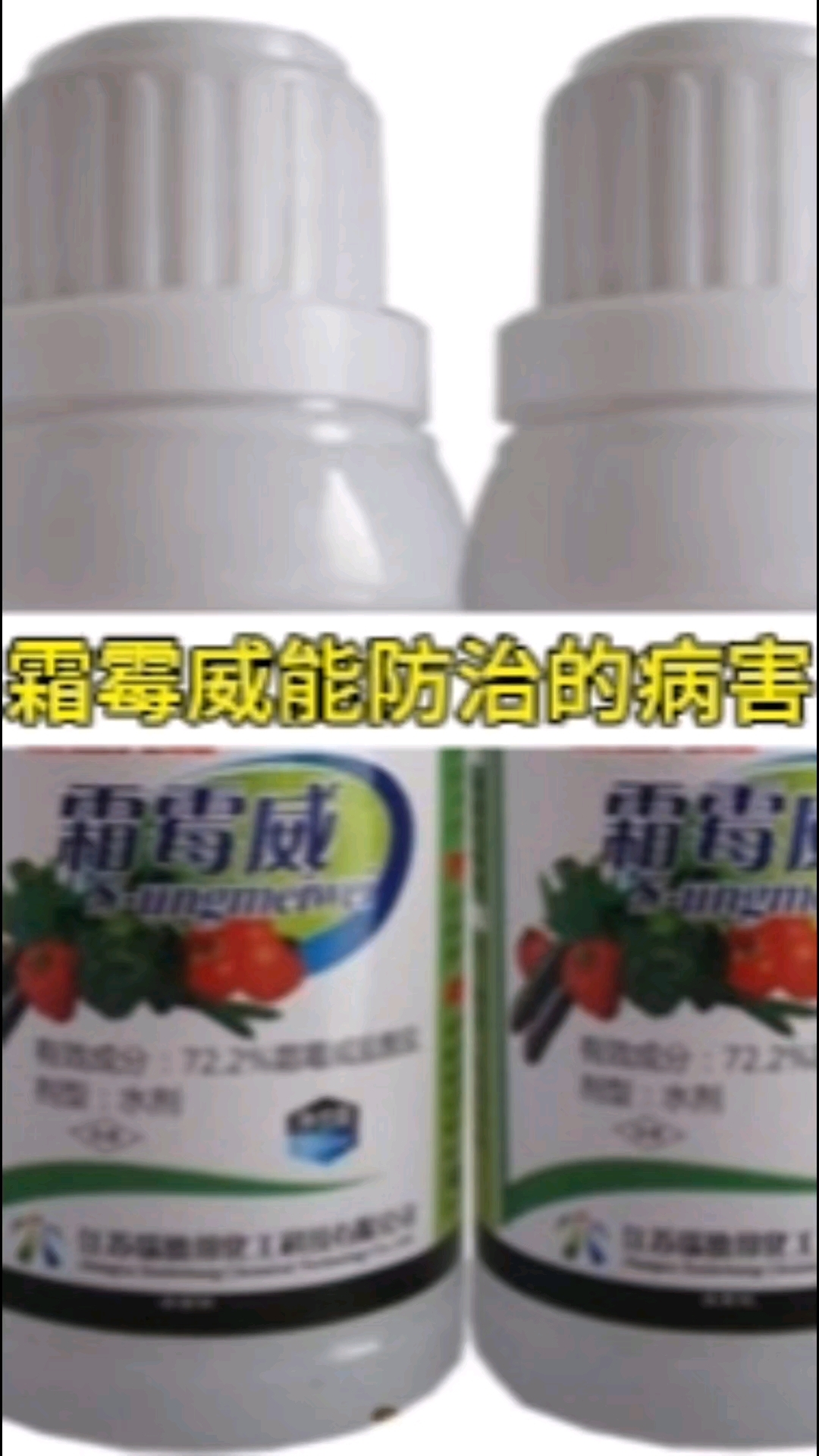 霜霉威能防治的病害