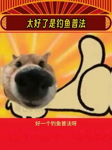 太好了是钓鱼普法我们有救了 娱乐评论大赏 坡子街派出所 长沙