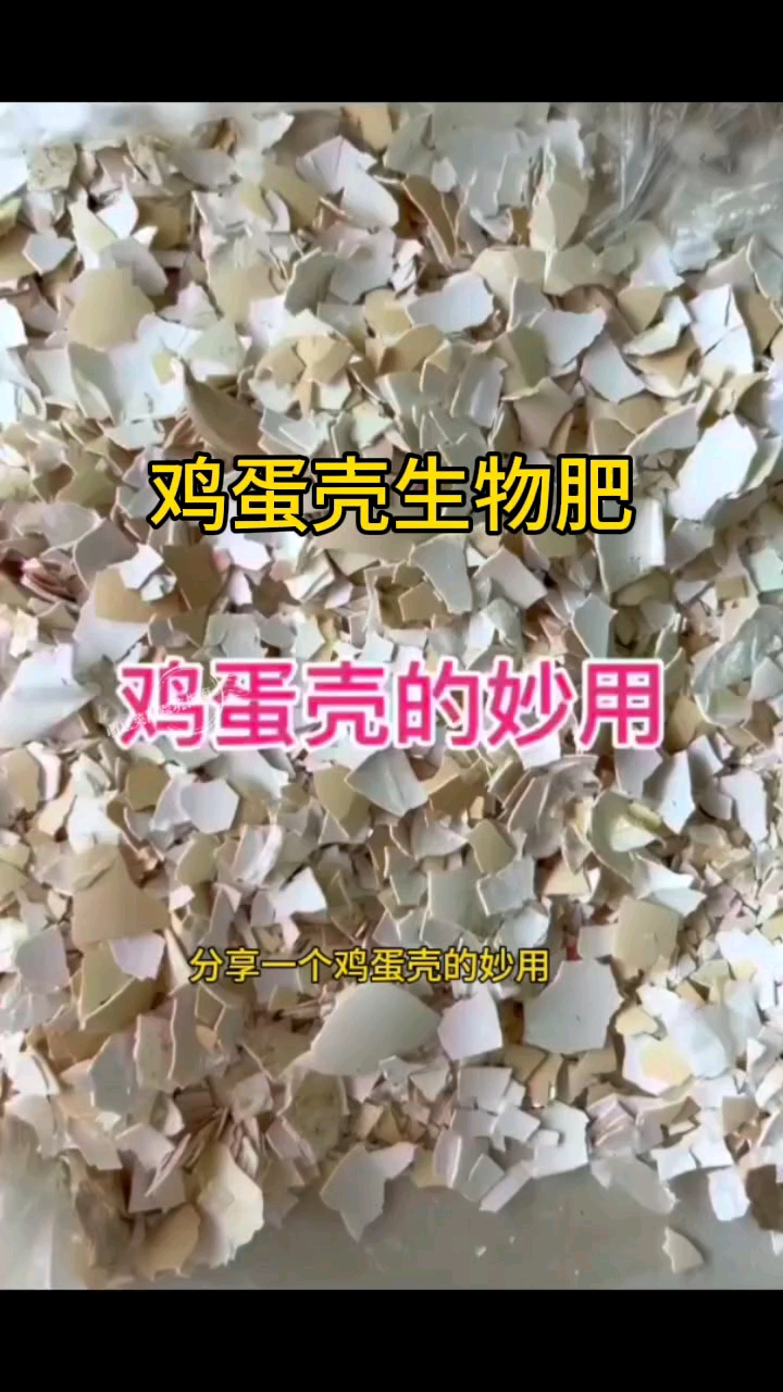 鸡蛋壳生物肥制作方法