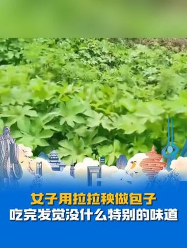 女子用拉拉秧做包子,吃完发觉没什么特别味道,网友:拉拉秧也能吃了?野菜 拉拉秧 山东美食 