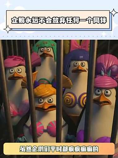 企鹅永远不会放弃任何一个同伴 马达加斯加的企鹅 鹅滴神片
