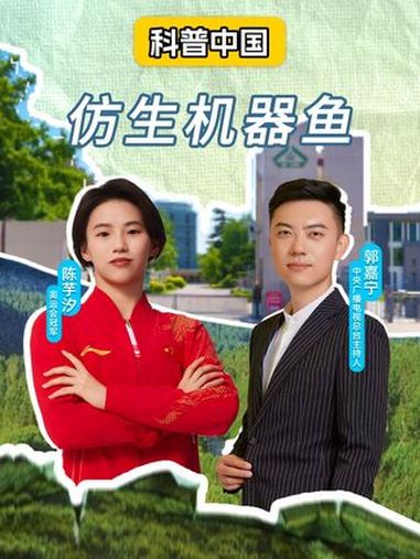 仿生机器鱼可以做什么?这些水下智能仿生机器鱼摆尾、下潜、跃水动作都不在话下!仿生机器鱼 好