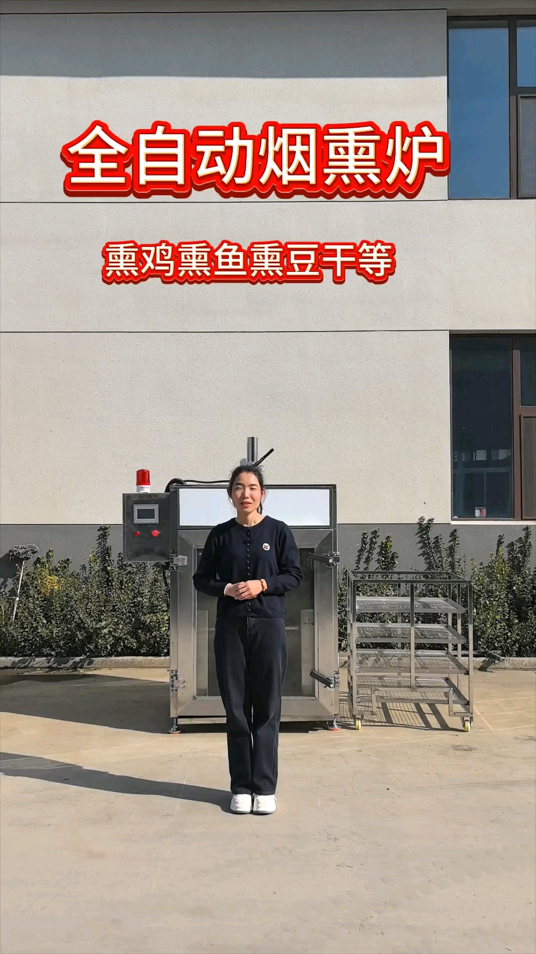 50型全自动烟熏炉，豆干烟熏炉，熏鸡，熏猪头肉