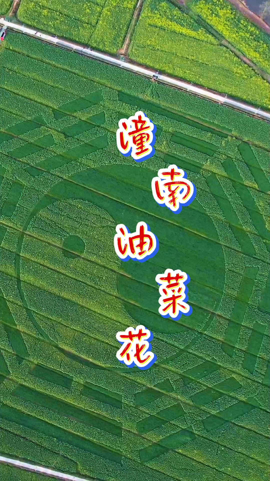 潼南万亩油菜花次第绽放,太极花田惊艳亮相,邀你共赴春日之约。
