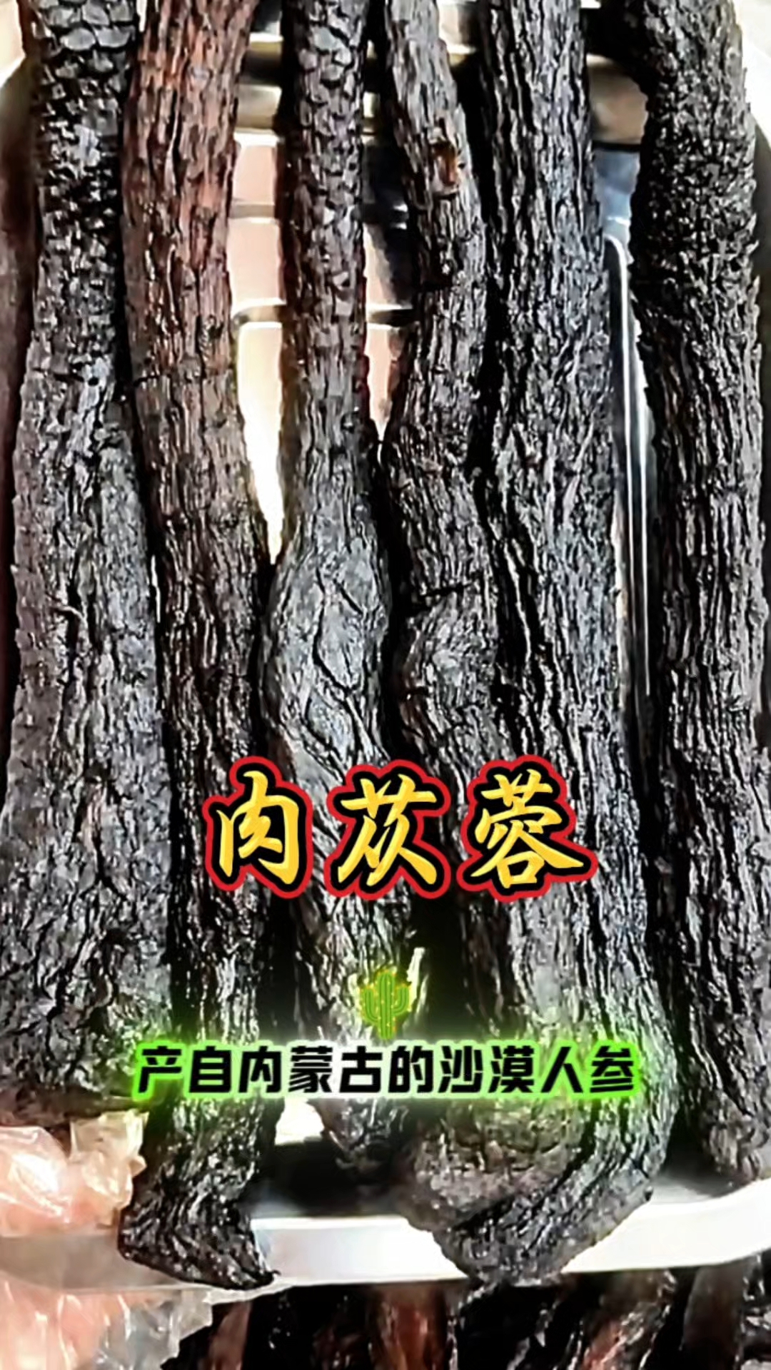 肉苁蓉——被誉为沙漠人参