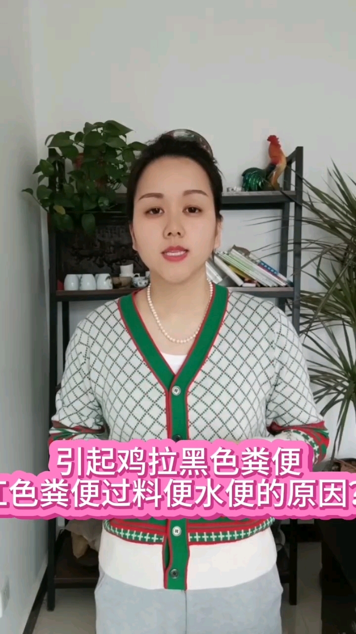 鸡的肠道问题反复发作