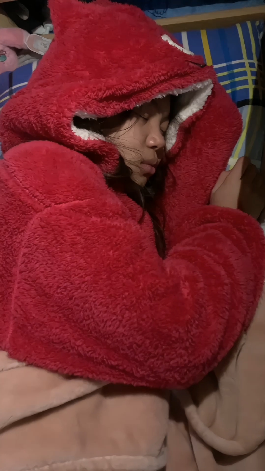 吓死我了,居然梦见有人偷吃我的全麦芝士蛋糕