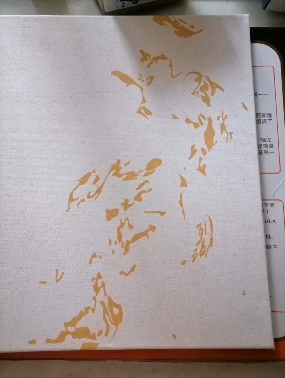 画画~大鱼海棠~冬天~休闲