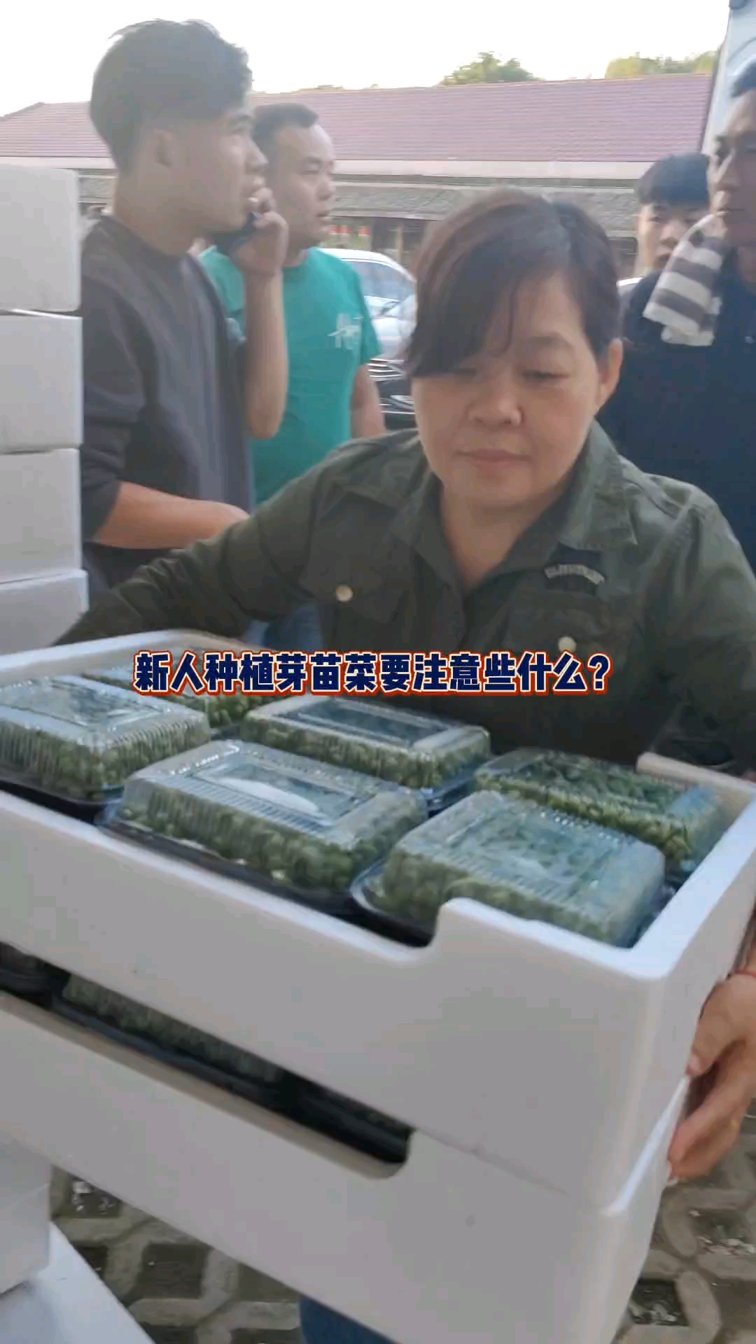 新人种植芽苗菜,需要注意些什么,必须要做什么?