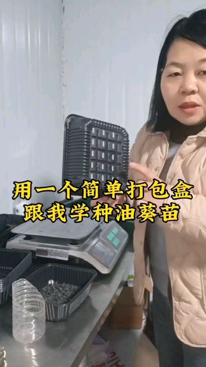 水培芽苗菜!手把手教你种植