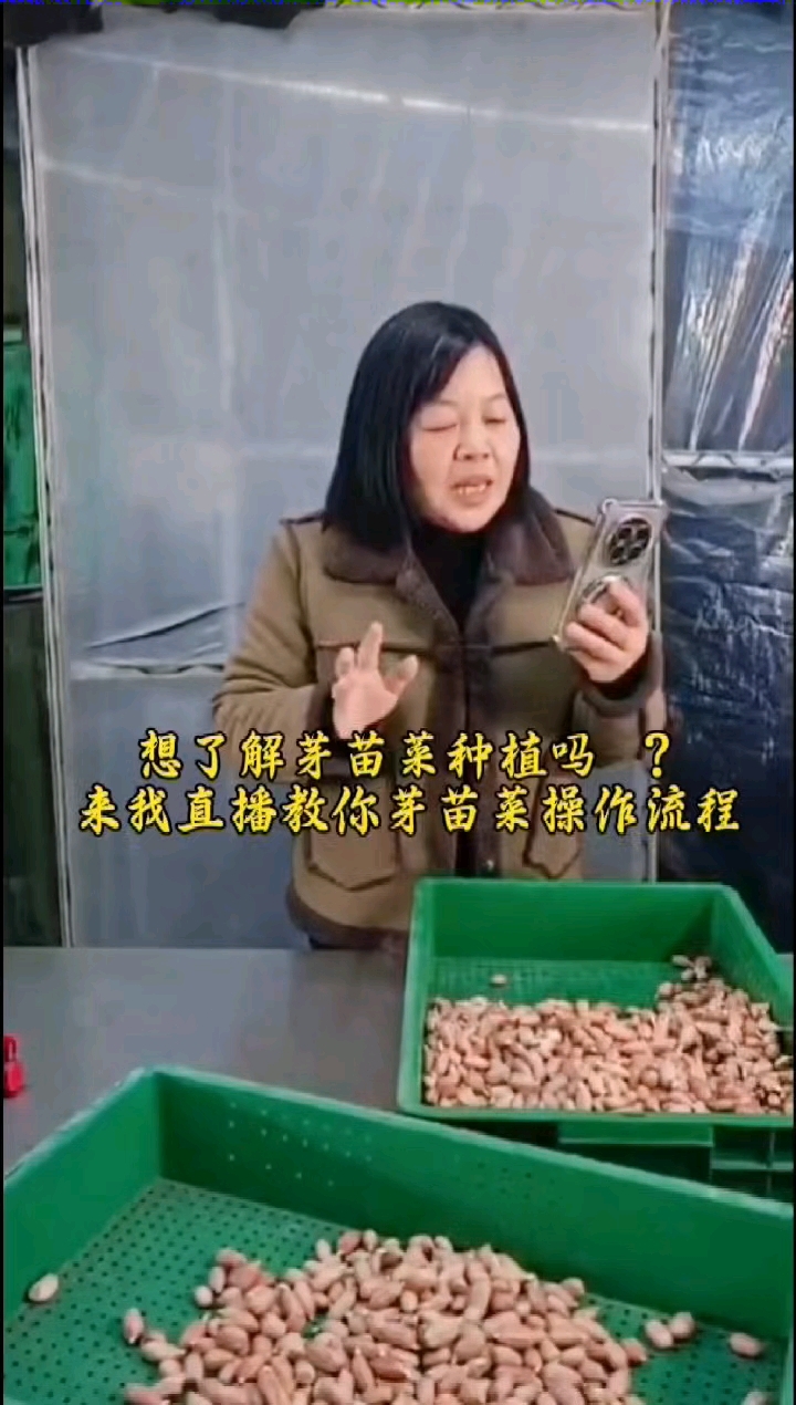 跟我学种芽苗菜,手把手教你种植