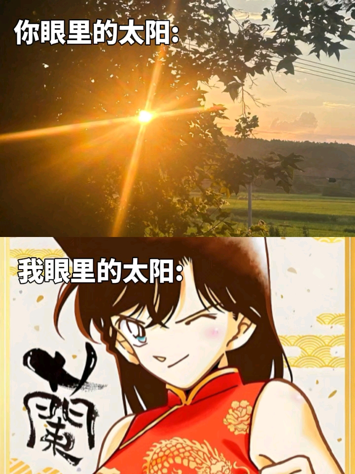 兰酱就是我的太阳～！！